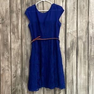 DB royal blue lace dress size 14